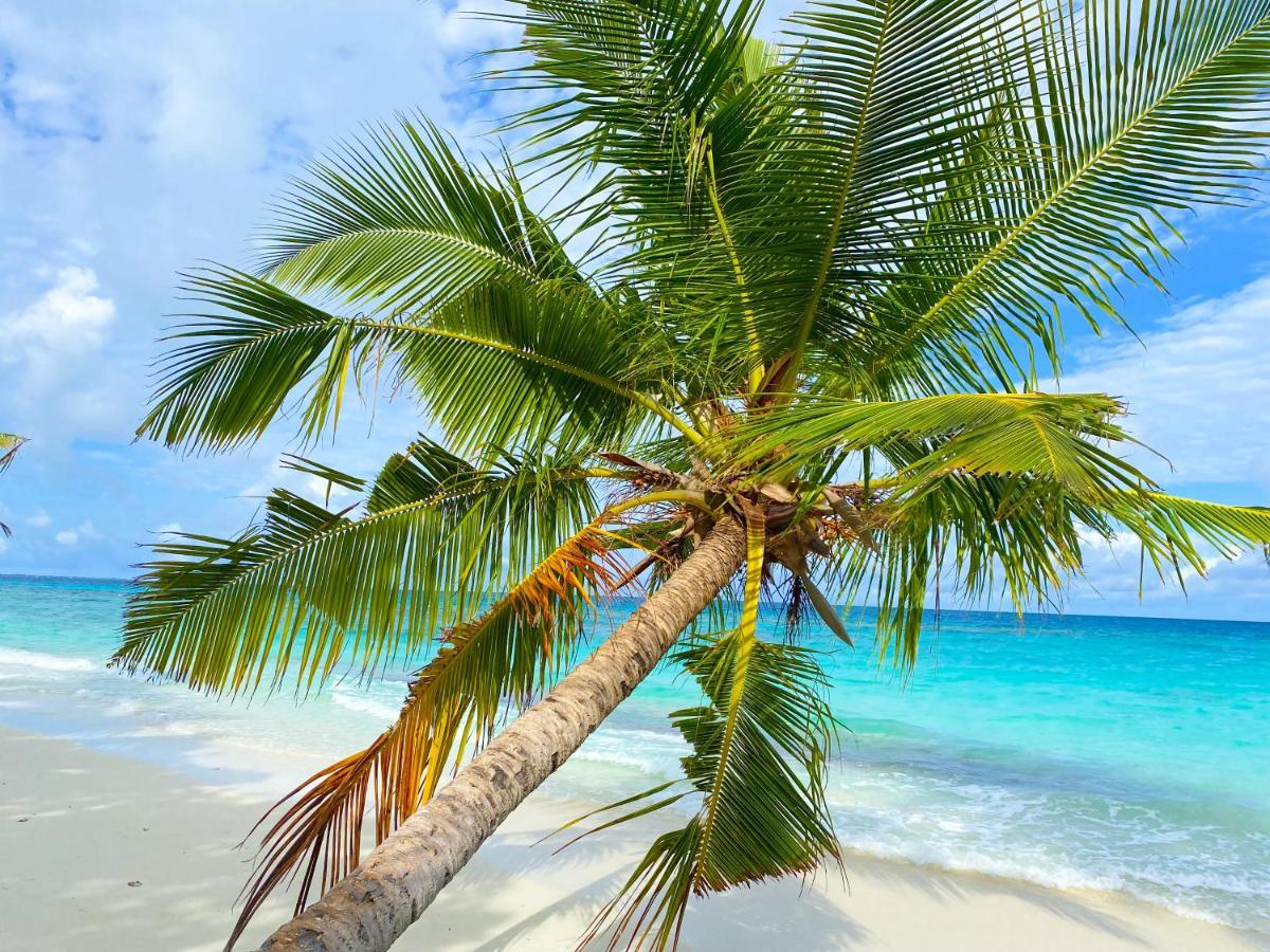 Tme Retreats Dhigurah Hotel Dhigurah  Exterior photo