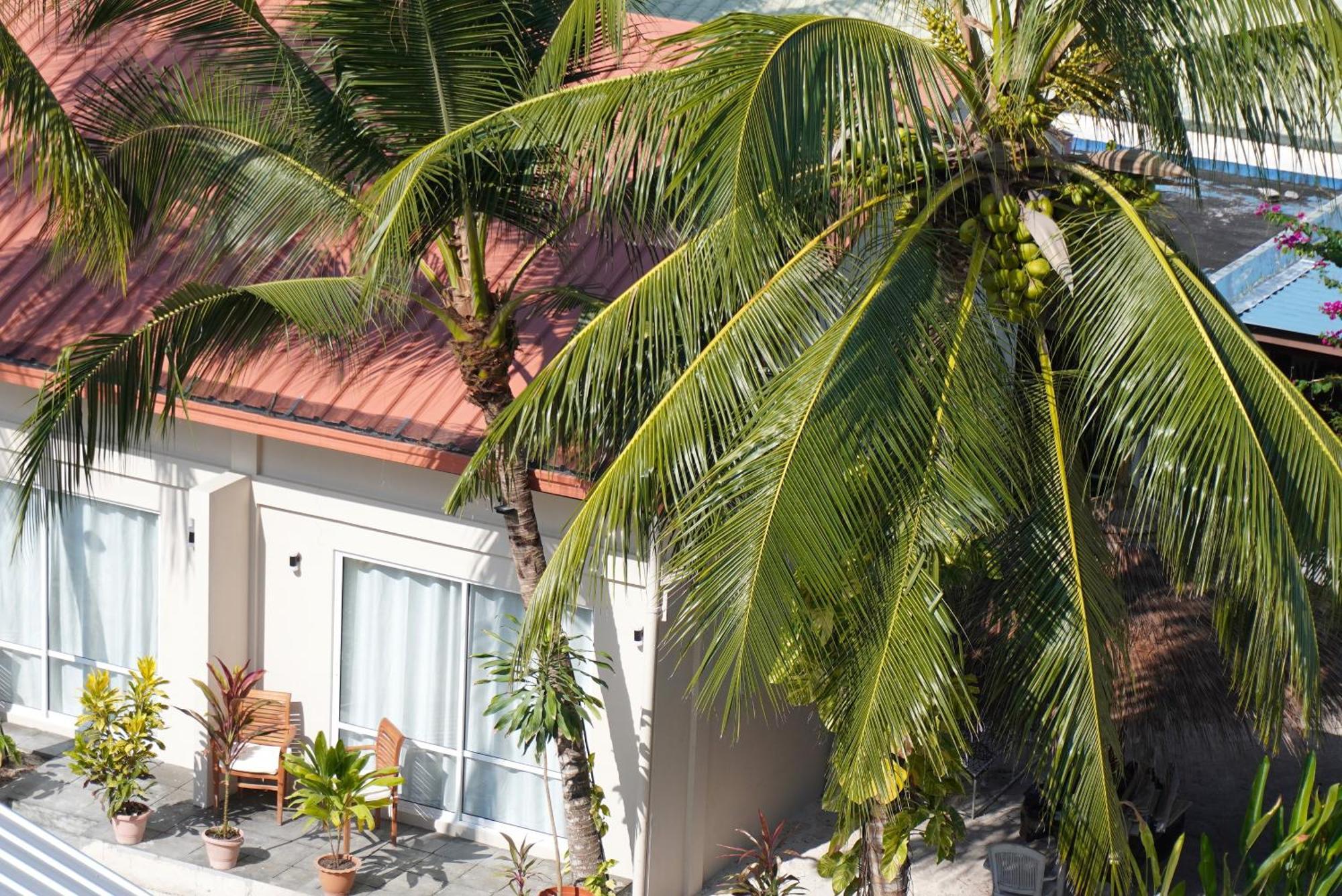 Tme Retreats Dhigurah Hotel Dhigurah  Exterior photo